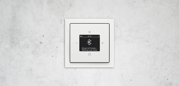 Busch-Radio Btconnect bei Elektro-Latzel in Hof